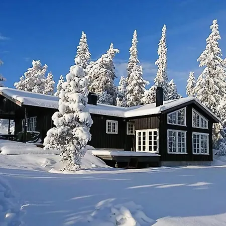 In Scenic Surroundings At Blefjell Lampeland