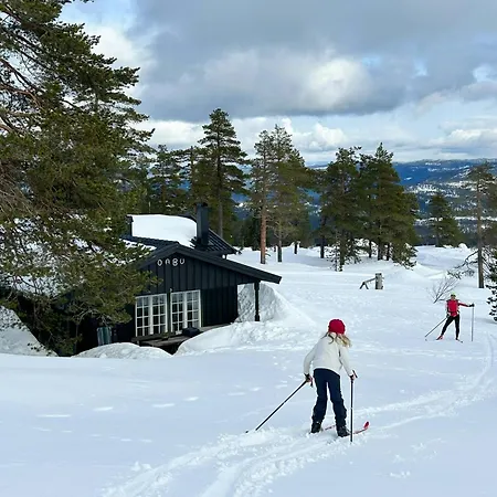 In Scenic Surroundings At Blefjell Tatil Evi *