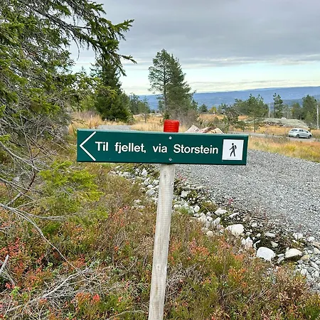 In Scenic Surroundings At Blefjell * Lampeland