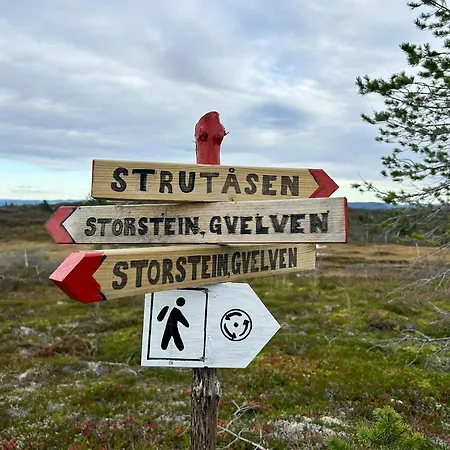 In Scenic Surroundings At Blefjell